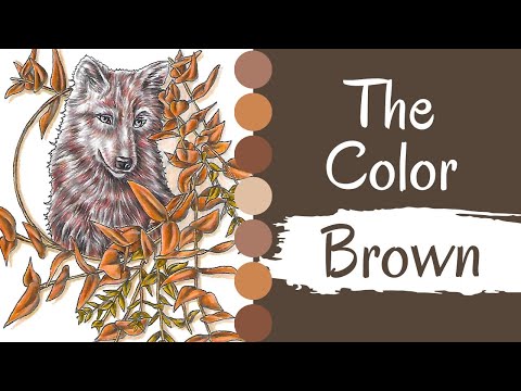 Explore the Richness of Brown: The Unsung Hero of the Color Palette