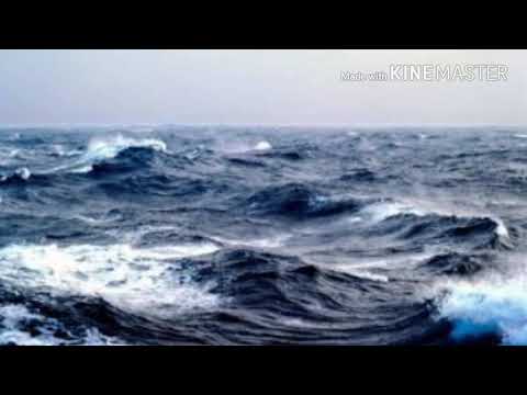 download lagu mp3 mp4 Samundar Status, download mp3 Samundar Status free download, download mp3 Samundar Status