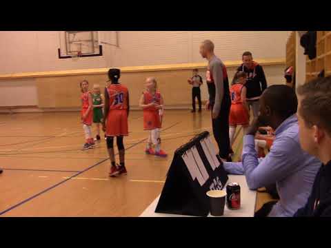 T08 1-div.: Lepy - Hypo T09