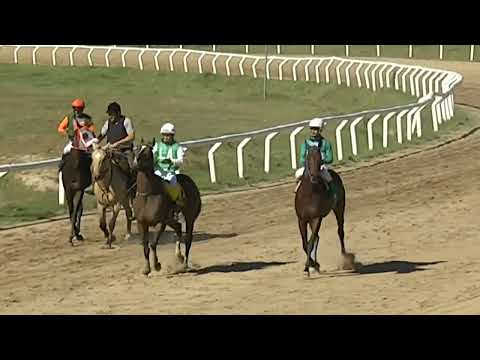 HIPODROMO SINT FLORIDA - 220421 c04 1° TAP GLORY