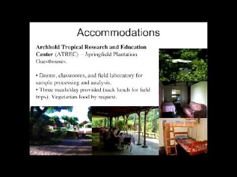 EEB Field Course Info Session - FOR306