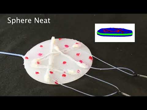 Evolving Variable Stiffness Fiber Patterns for Multi-shape Robotic Sheets.