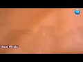 Chinnanjiru Anna Killi Tamil 5 1 Hd Video Song Ilayaraja Hits