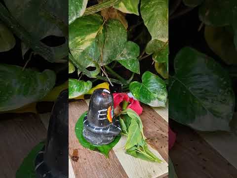 हर हर शंभु 🙏🔱🙏 #june2 #nature #travel