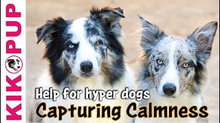 Capturing Calmness