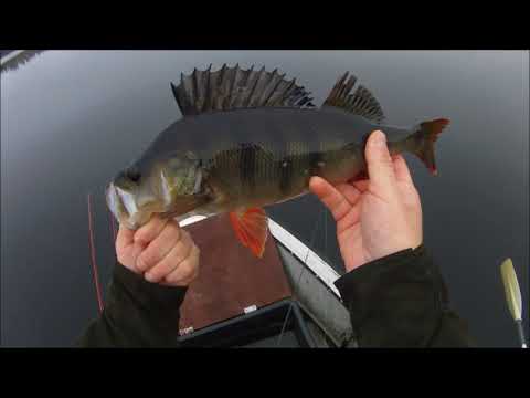 AHVENTA TULLOO JA ISOA !!!