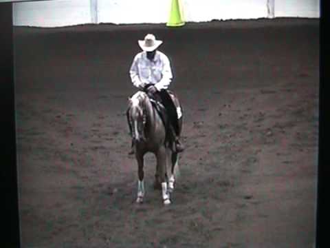 Finals NRHA Futurity Congress 2005