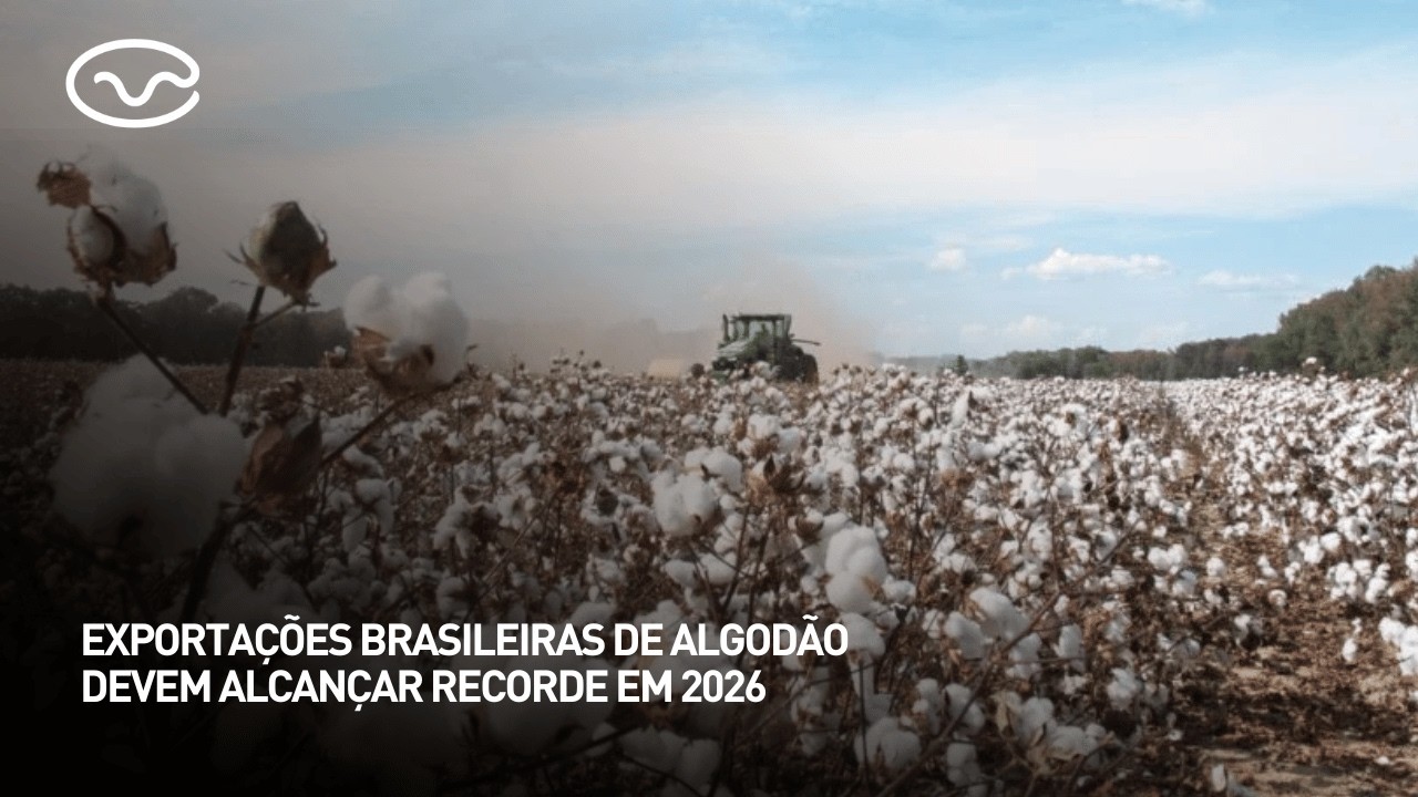 Exportações brasileiras de algodão devem alcançar recorde em 2026
