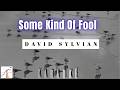 David Sylvian - Some Kind Of Fool (Karaoke)