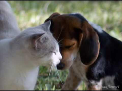 ♥♫ I just called to say I love you - GHEORGHE ZAMFIR♥♫