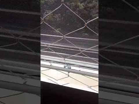 Segurança Garantida com Redes de Proteção – Asa Sul SQS 206-F Segurança Garantida com Redes de Proteção – Asa Sul SQS 206-F