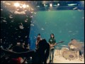 SUNNY DAY SERVICE - SLOW RIDER (Official Music Video)
