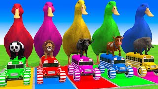 Long Slide Game With Elephant Gorilla Buffalo Hippopotamus Tiger - 3d Animal Game - Funny 3d Animals