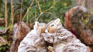 Matt Pond PA — Street Squirrels