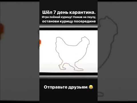 Игра, поймай курицу, нажав на паузу!