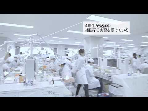 NDU Tokyo  4年生 授業風景（補綴学C実習）