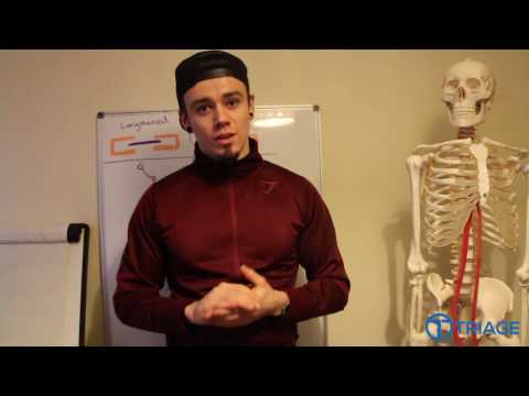 Training Abs? You're probably doing it wrong.