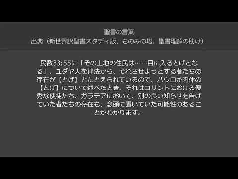 園芸 キリストのとげ、いばらの冠、とげのあるパリウレ、アルガロン