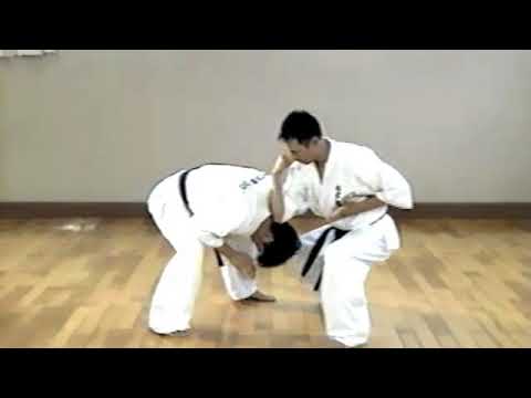 Japanese Instructional Videos