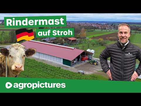 Rindermast auf Stroh | Neuer Tierwohl Stall mit Hetwin Athos Einstreuroboter und Fütterungsroboter