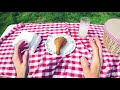 Having A Picnic