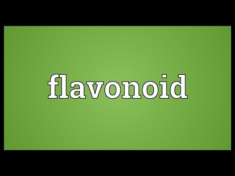 Flavonoid Meaning