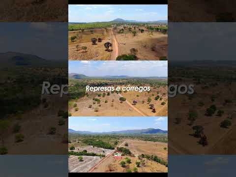 EXCELENTE FAZENDA À VENDA 500 alqueires (2.420 ha) – JAÚ DO TOCANTINS – TO #fazendaavenda #pecuaria