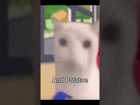 Lowkenuinely spamming the same video until I get famous #music #toosick #warped #neckdeep #honk