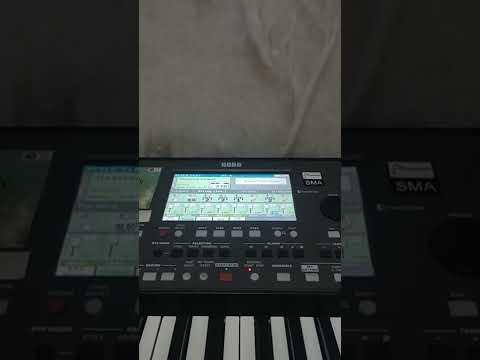 Huge Orchestra Korg Pa600 - Shadow of the colossus