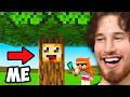 Minecraft But You Can Wear ANYTHING