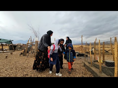 Who will take care of Ali while Anis is hospitalized?