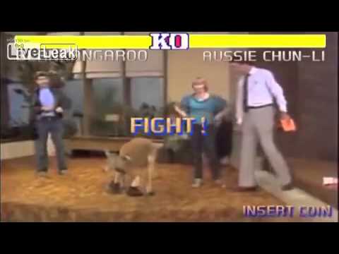 Street fighter 2: kangaroo edition