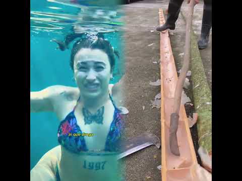 O plot twist de milhões 😂😂😂🌟 #novelinha #novela