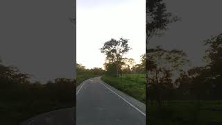 Download lagu Beautiful Assam; Sepon,charaideo 💚  #viralshorts #travel #naturelovers #tea #youtubeshorts mp3