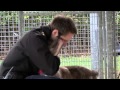 The Dog Rescuers Series 2 Episode 5 Trailer