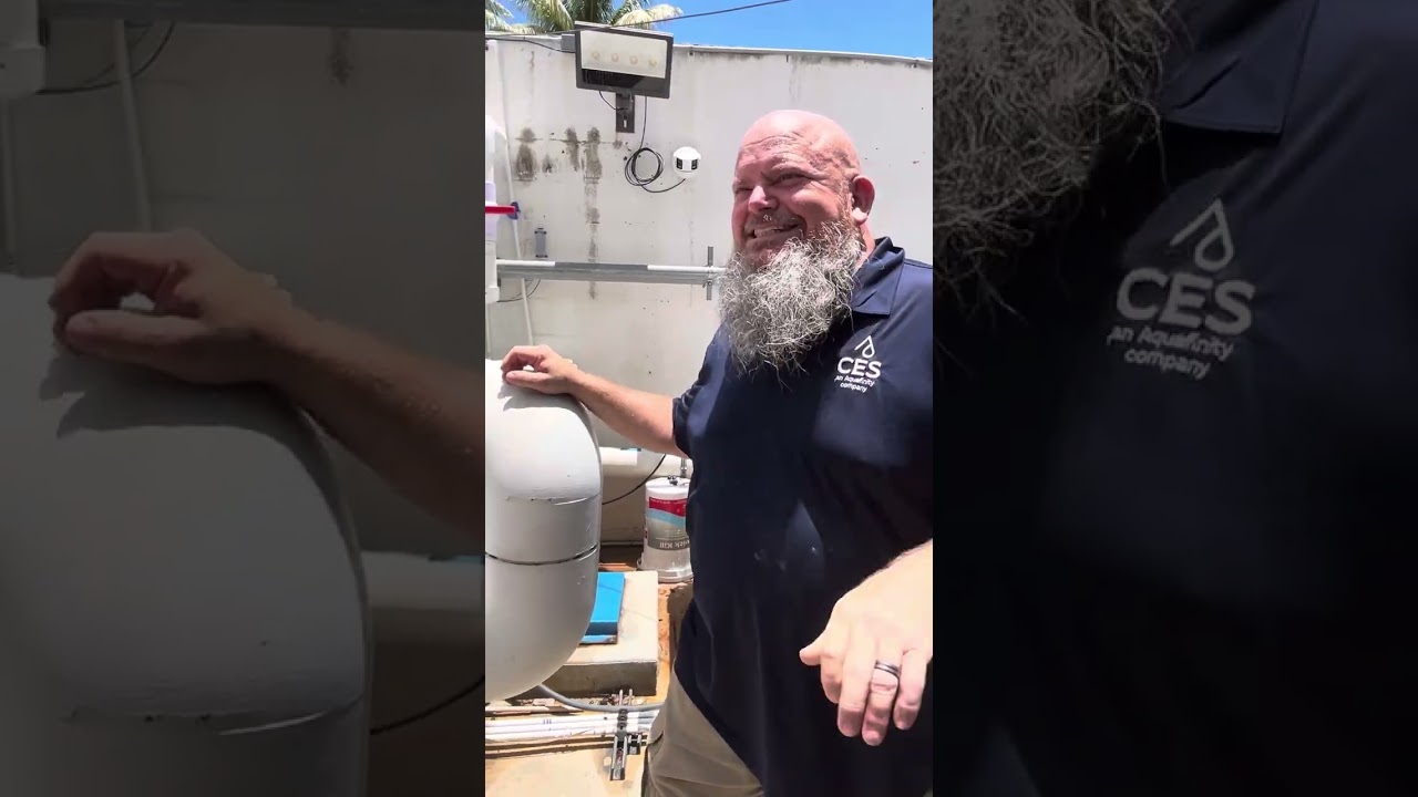 BECSys5 training with CES