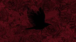 كلمات اغنية مش طايقك ليل بابا