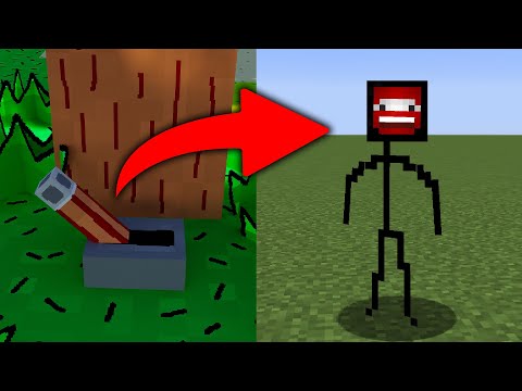 Ich BEKOMME einen PRANK SKIN in MINECRAFT