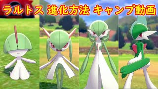 エルレイド ポケットモンスター カバルドン サマヨール コラッタ