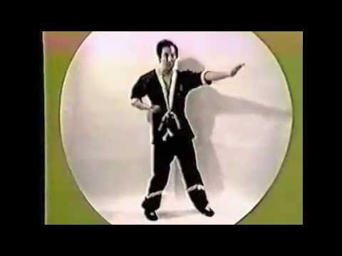 Three Forms of Wing-Tsun