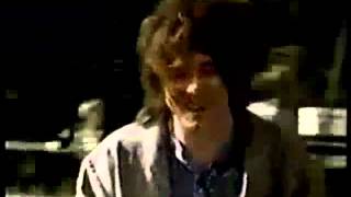 Bananafishbones--The Cure (lyrics)