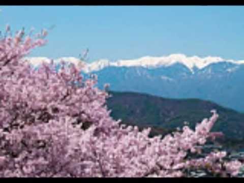 Akai hana shiroi hana - Ikaros