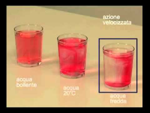 Sciocchezze per la persona da risposte di pigmentazione Ordinare la crema di decolorazione da pigmentazione
