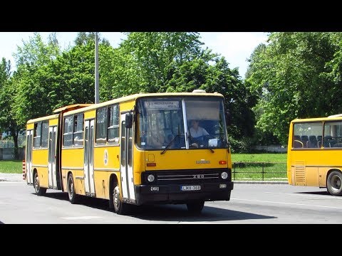 Buszok Miskolcon és Kazincbarcikán