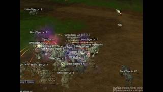 [SWSRO] Tiger Girl killed by UniqueNoob #1