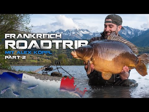 Roadtrip durch Frankreich mit Alex Köppl - Part 2 | Karpfenangeln in Frankreich