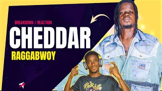 Cheddar by Raggabwoy || The Rebirth (A BREAKDOWN)