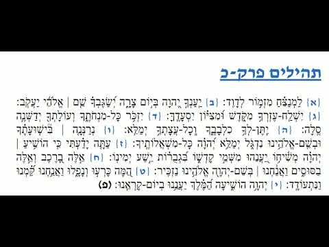 Tehilim Chapter 20 -  תהלים פרק כ
