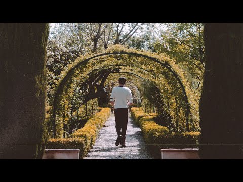 carbeau - La Vie Te Mène (Official Visualizer)