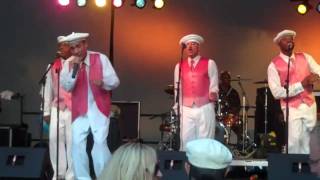 The Tams-Be Young Be Foolish Be HAppy